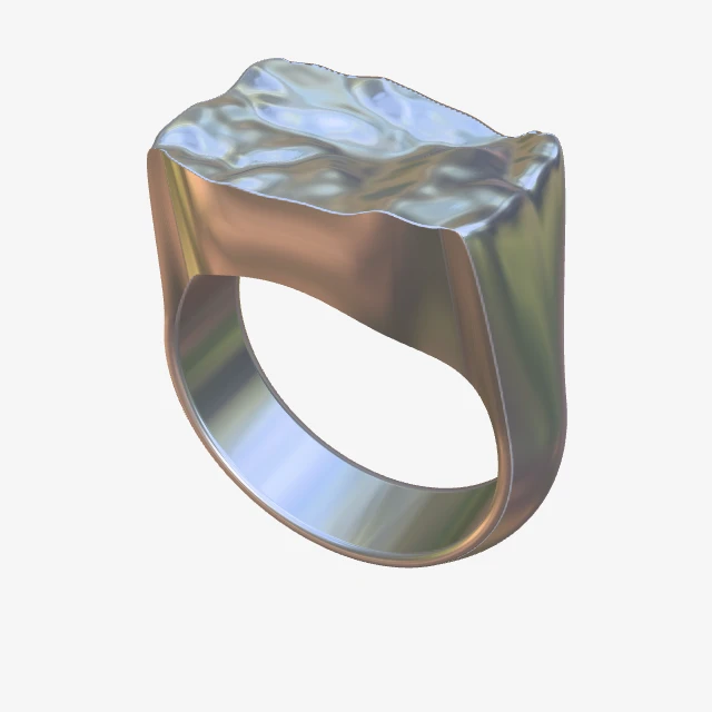 Sivas — Gökpınar Gölü arazi mühür yüzüğü, 3B üst-çapraz görünüm